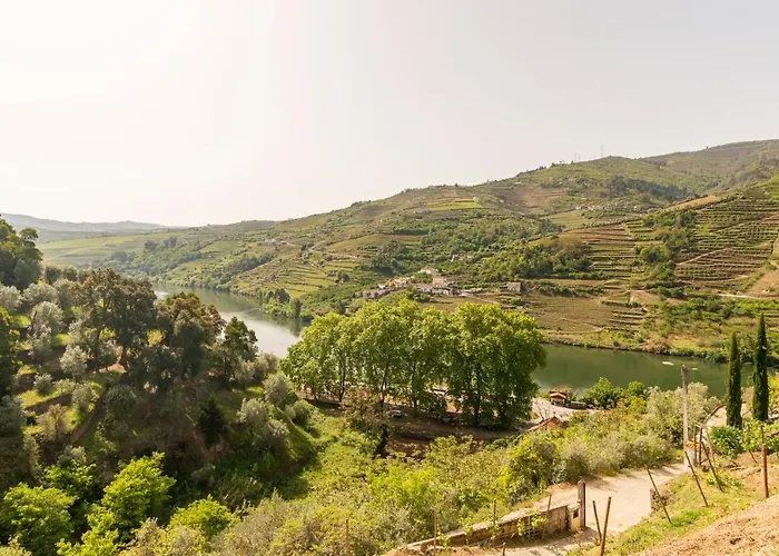 Σπίτι διακοπών Douroparadise Peso da Régua